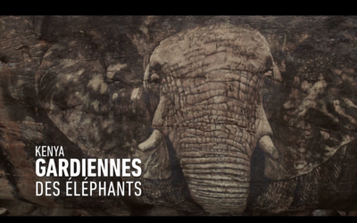 Gardiennes des éléphantsArte France